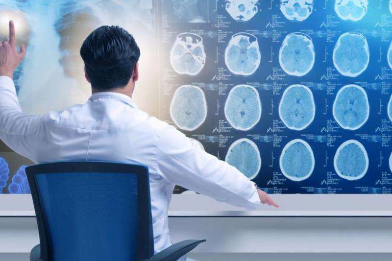 WhatsApp为什么上不去？问题诊断与操作建议