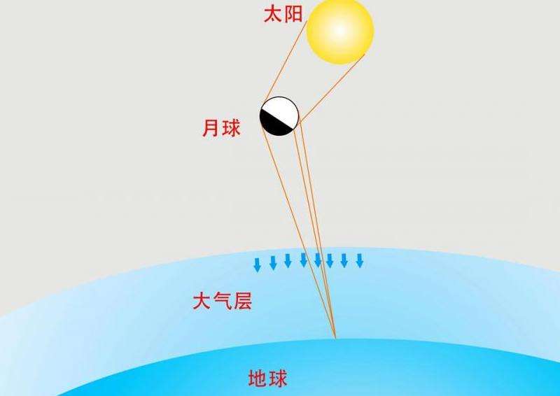 WhatsApp为什么看不到头像？头像显示问题排查与解决