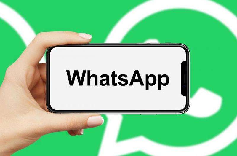 WhatsApp为什么老师封号？封号现象解析与常见原因探讨